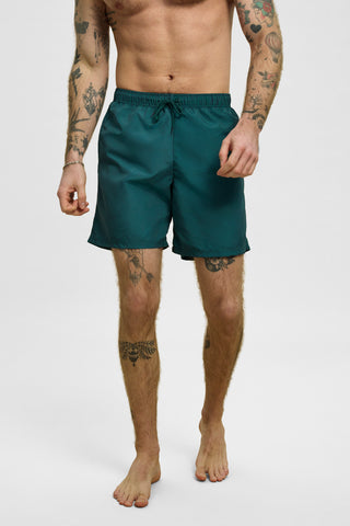 REDGREEN MEN Triton Shorts C - Blue/Green