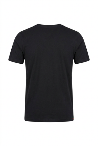 REDGREEN Redgreen Herre 3-Pack T-Shirt Crew Neck T-shirt 0191 Black