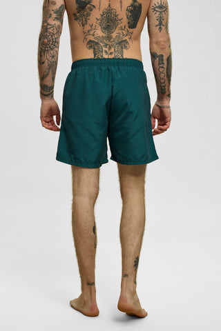REDGREEN MEN Triton Shorts C - Blue/Green